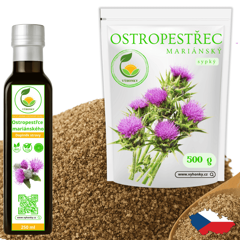 Ostropestřec mariánský